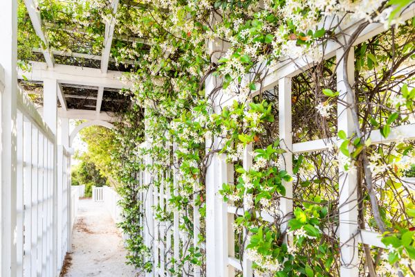 Cost of Trellis Repair in Buford
