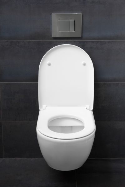 Cost of Toilet Lid Installation in Buford