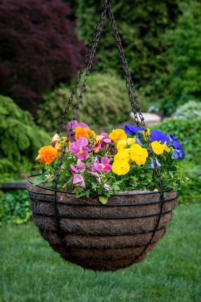 Cost of Hanging Basket Installation in Buford
