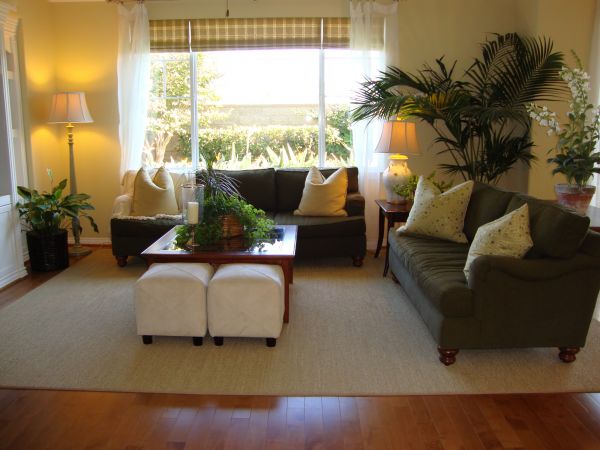 Cost of Valance Rod Installation in Buford