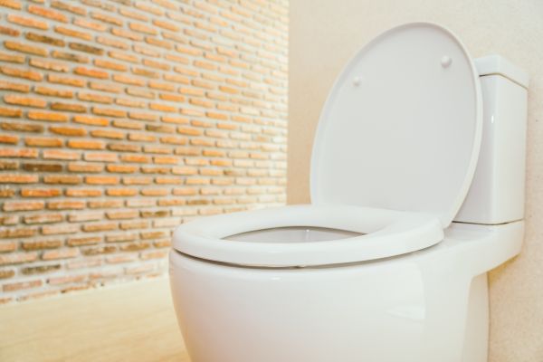 Cost of Toilet Seat Repair in Buford