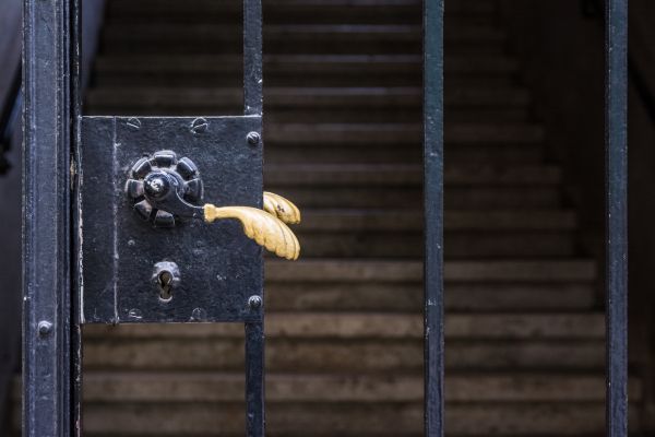 Cost of Gate Handle Replacement in Buford